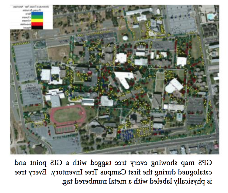 gPS map showing every tree tagged with a GIS point and catalogued during the first Campus Tree Inventory. Every tree is physically labeled with a metal numbered tag.